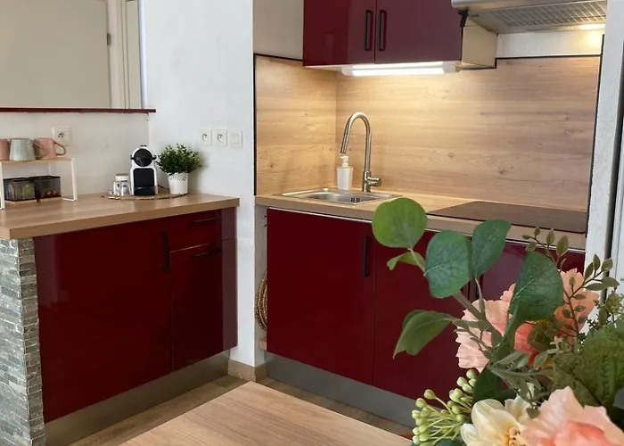 Le Spot Nicois Daire *