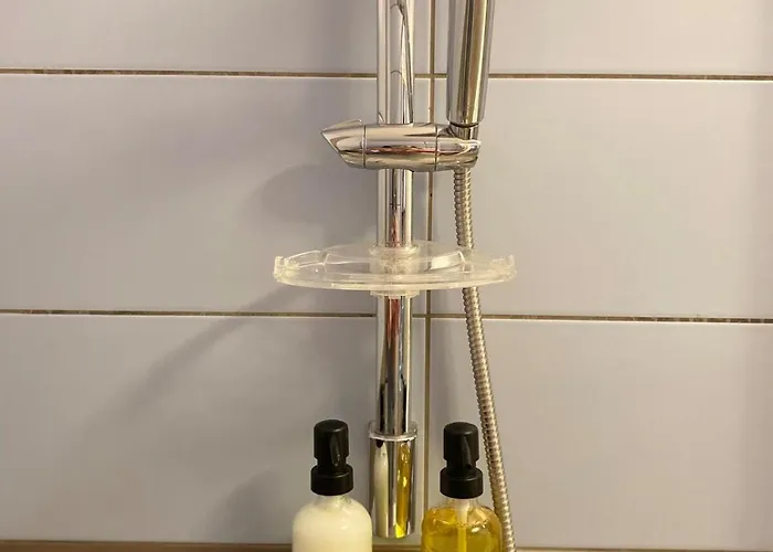 Le Spot Nicois Daire Nice